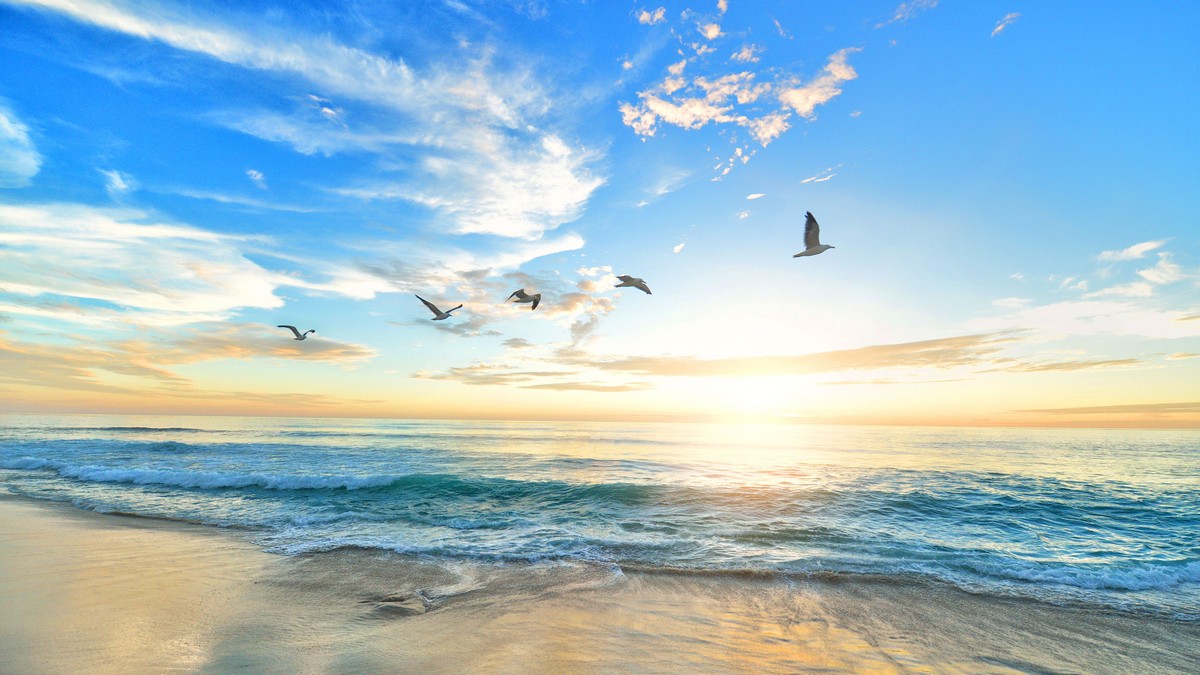 Royal Caribbean releases cruiseinspired Zoom backgrounds to use in